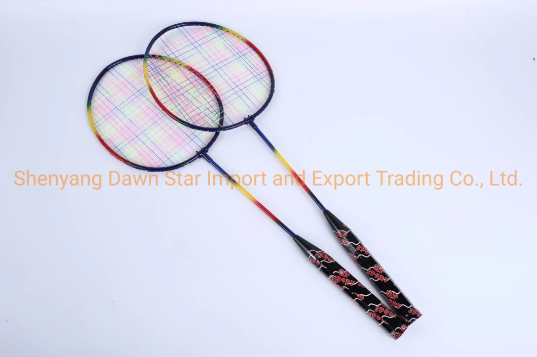 Factory Supplier Badminton Racket Set of 2 Rackets with String and Cover