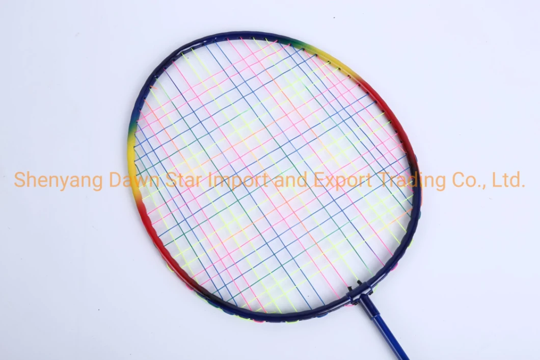 Factory Supplier Badminton Racket Set of 2 Rackets with String and Cover